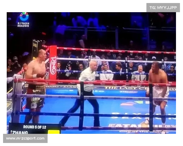 WBC次重量级过渡拳王齐斯拉克需先接受佩拉尔塔挑战